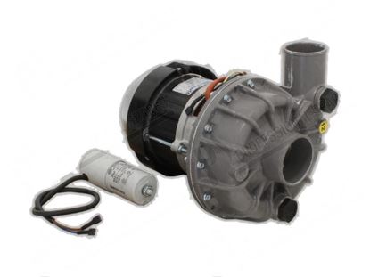 Bild på Wash pump single phase 730W 230V 50Hz for Winterhalter Part# 3102277, 60417