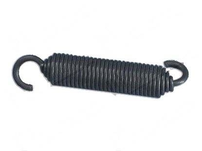 Picture of Tension spring  13x51 mm Ltot.=80 mm for Comenda Part# 450288 H36860