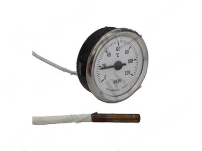 Bild von Thermometer  52 mm 0 ·120Â°C for Zanussi, Electrolux Part# 48564