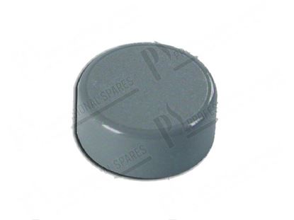 Bild på Grey push button  23 mm for Zanussi, Electrolux Part# 49062
