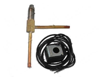 Picture of Solenoid valve body [KIT] for Scotsman Part# 62030631, 62030643