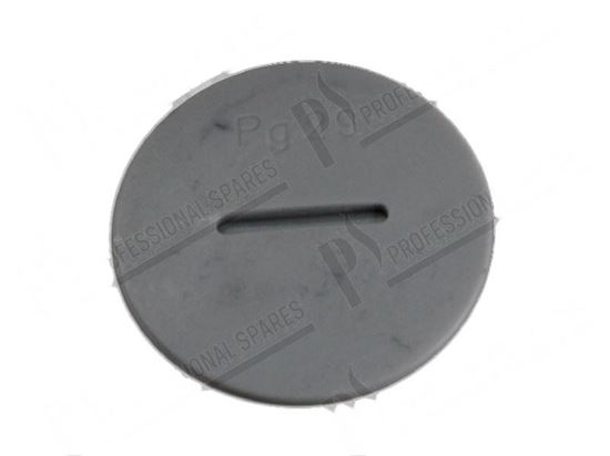 Immagine di Plug for cable holder PG29 for Dihr/Kromo Part# 80421, DW80421