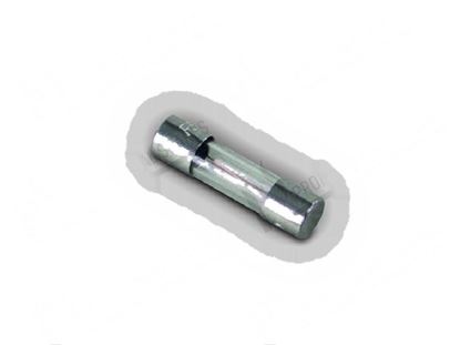 Bild på Fuse  5x20 mm 0,80A 250V fast for Elettrobar/Colged Part# 926284, DEF71