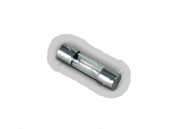 Picture of Fuse  5x20 mm 0,80A 250V fast for Elettrobar/Colged Part# 926284, DEF71