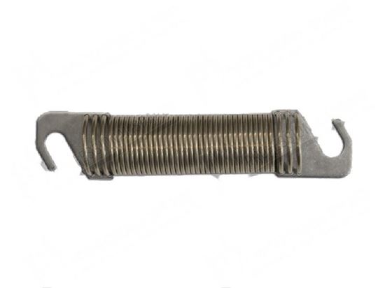 Immagine di Tension spring  21,5x73xLtot. 110 mm for Meiko Part# 9521470, 9521764, ME9521764
