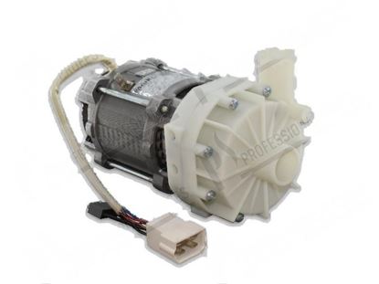 Obrázek Drain pump 1 phase 220W 200-240V 50Hz 1,5A for Meiko Part# 9535710, 9638041, ME9638041