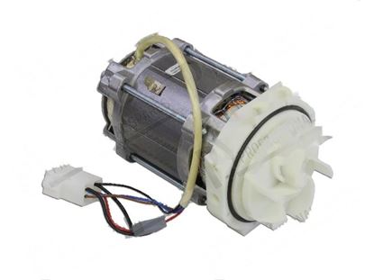 Image de Wash pump 1 phase 180W 200-240V 0,8A 50Hz for Meiko Part# 9607881, 9638050
