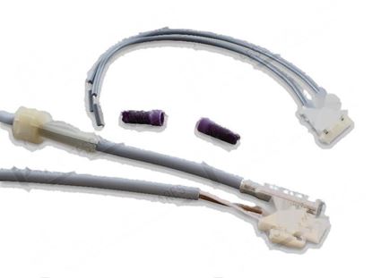 Image de Temperature probe PT1000 [KIT] for Meiko Part# 9656868, 9697140