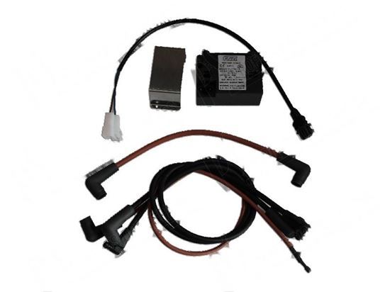 Immagine di Flame control device [KIT] for Unox Part# CE1782A, KVE0009B