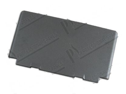 Immagine di Plastic door 560x310 mm with gasket for Scotsman Part# CM81460373