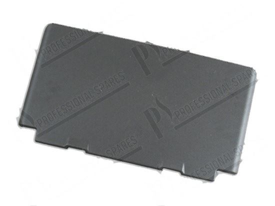 Immagine di Plastic door 560x310 mm with gasket for Scotsman Part# CM81460373