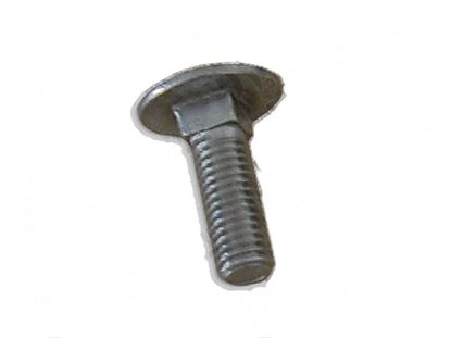 Picture of Rounded head screw M8x25 INOX for Dihr/Kromo Part# DW11325