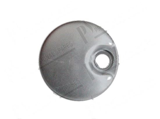 Immagine di Push button  21mm with lens for Hobart Part# E227061