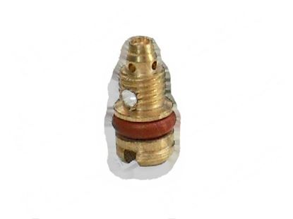 Immagine di Minimum screw  0,55 mm - SABAF for Tecnoinox Part# RC00395000