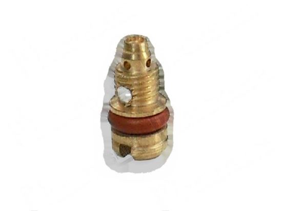 Picture of Minimum screw  0,55 mm - SABAF for Tecnoinox Part# RC00395000