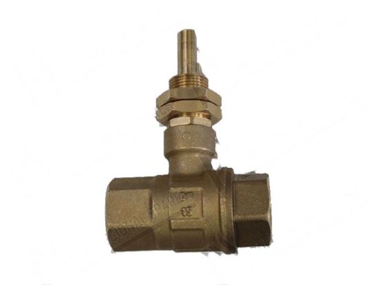 Immagine di Water load tap 1/2" FF for Tecnoinox Part# RCK7060018